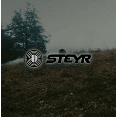 Steyr Mannlicher