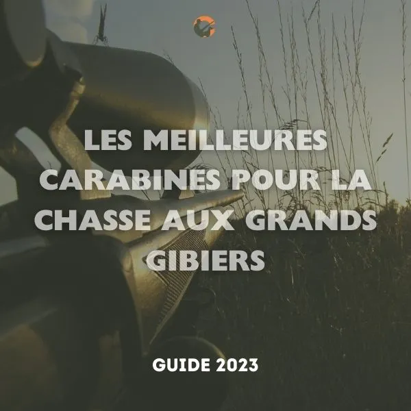 Carabine à Air Comprimé : Le Guide Complet pour Choisir et Utiliser Votre Arme à Plomb