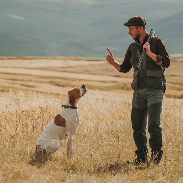 Tout ce que vous devez savoir sur les colliers électriques et de dressage pour chien de chasse