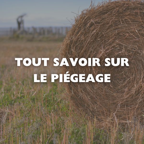 Contrôler la Faune Nuisible : Tout Savoir sur le Piégeage 