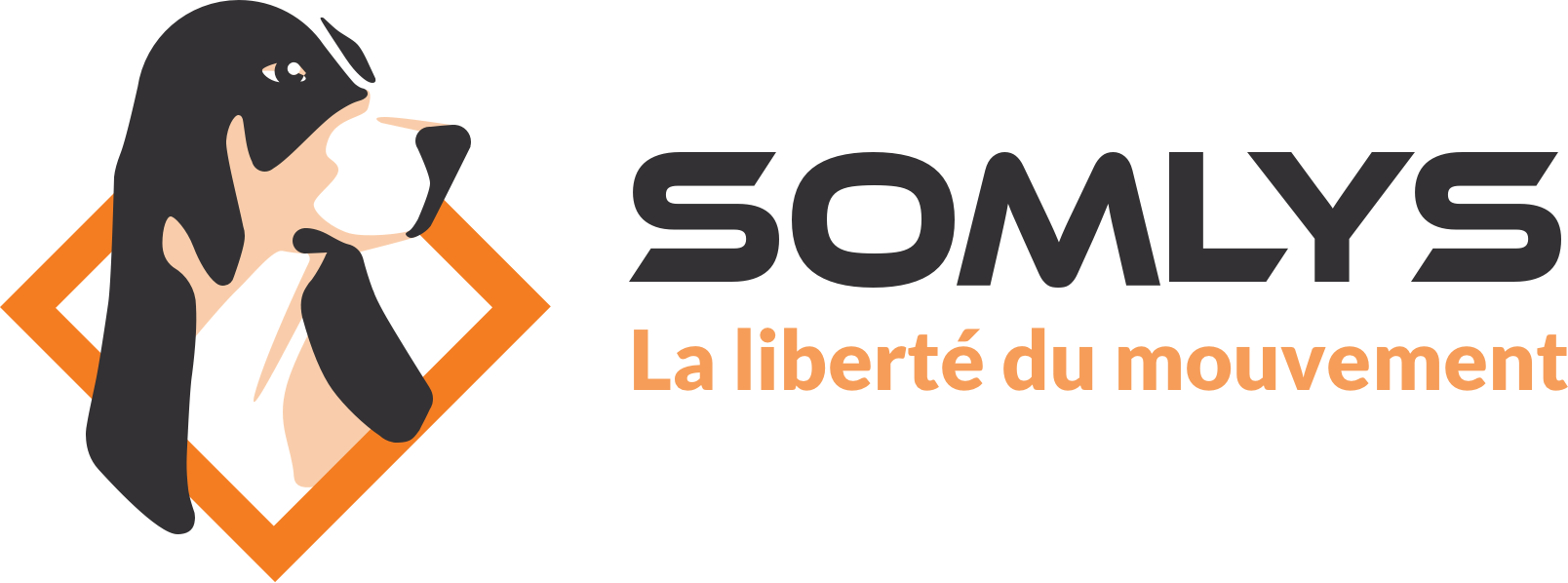 Somlys : Équipements de Chasse 