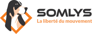 Somlys